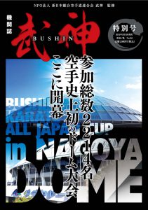 bushin_vol11